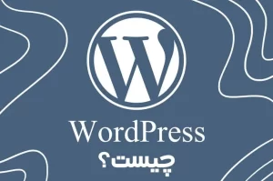 تفاوت میان طراحی سایت وردپرس با سایت اختصاصی