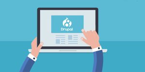 معرفی بهترین cms فروشگاه ساز